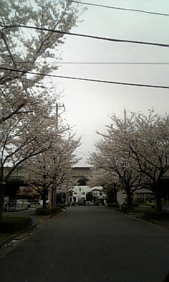 b0032962_22474940.jpg