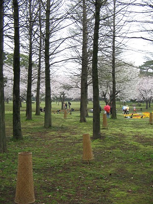 別府公園の“春景”・・・卯月の“桜”_c0001578_2382281.jpg