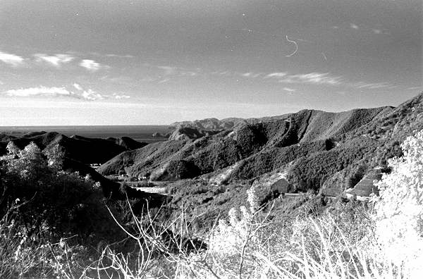 d0045383_1175347.jpg