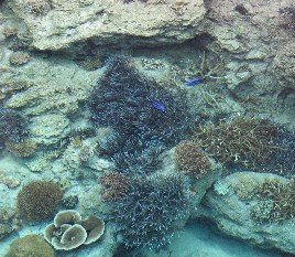 c0108693_20552893.jpg