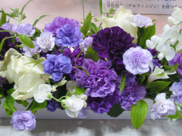 桜以外のお花も_a0091095_21245361.jpg