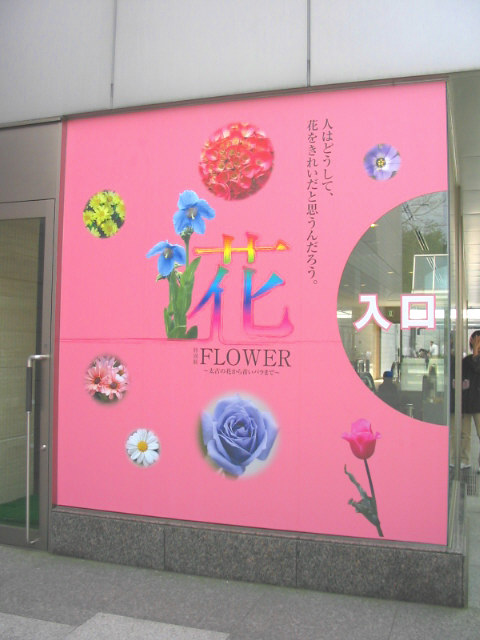 桜以外のお花も_a0091095_2141660.jpg