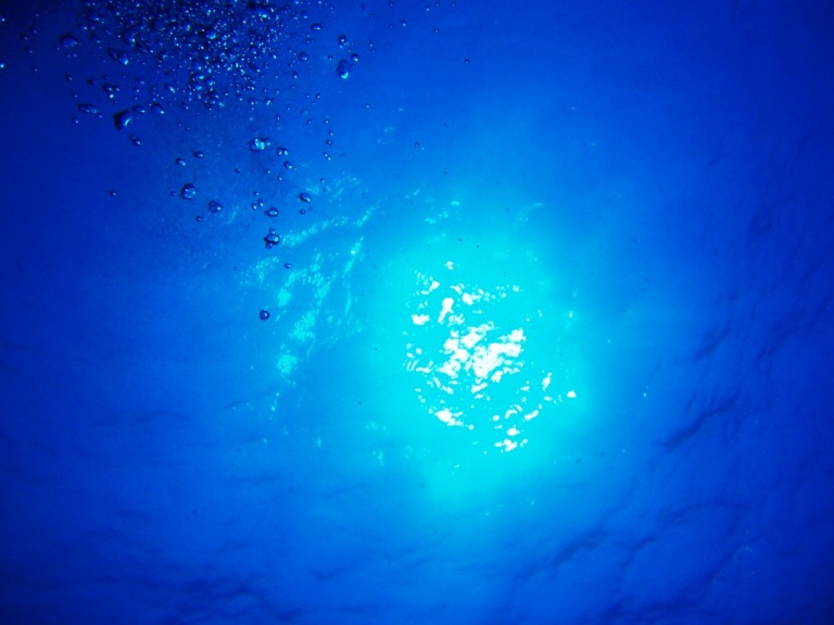 e0023100_4335150.jpg
