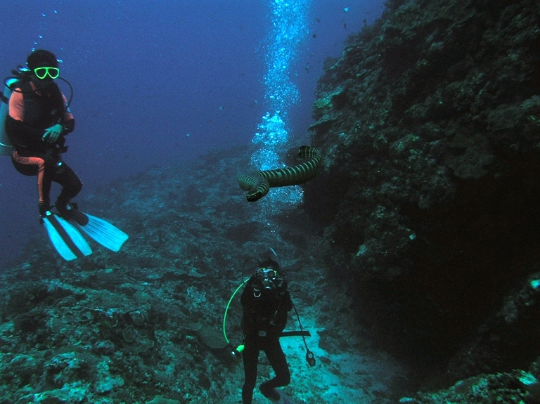 e0023100_4405057.jpg
