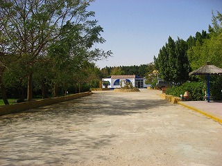 a0010703_0512187.jpg