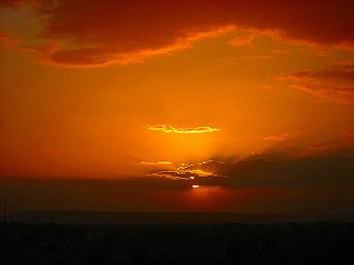 a0010703_191897.jpg