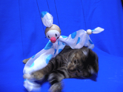 f0135908_1127223.gif