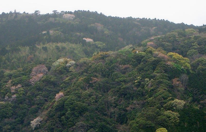 e0034012_1829394.jpg