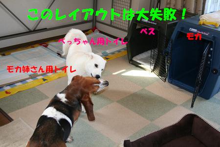f0121712_16101746.jpg