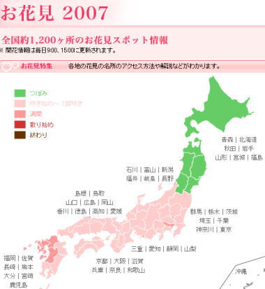 エキサイト・お花見情報_a0026413_5581584.jpg