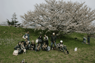 e0080117_22343716.gif