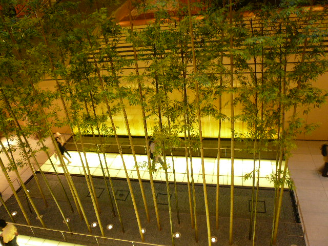 a0074523_21414235.jpg