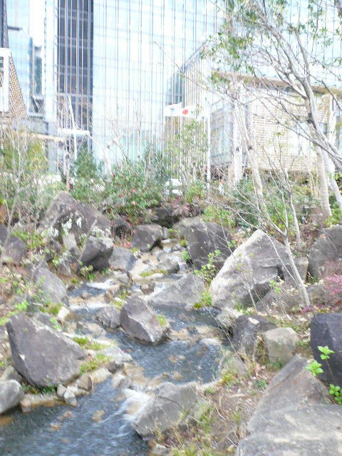 a0074523_21532459.jpg