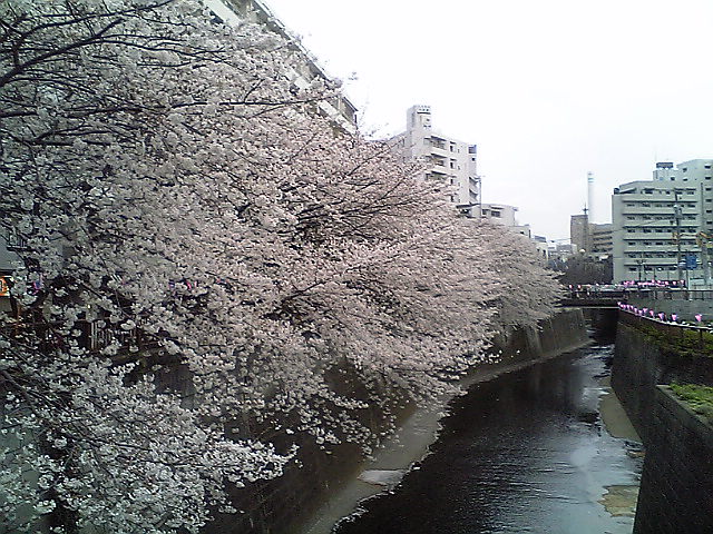 e0087443_23442254.jpg