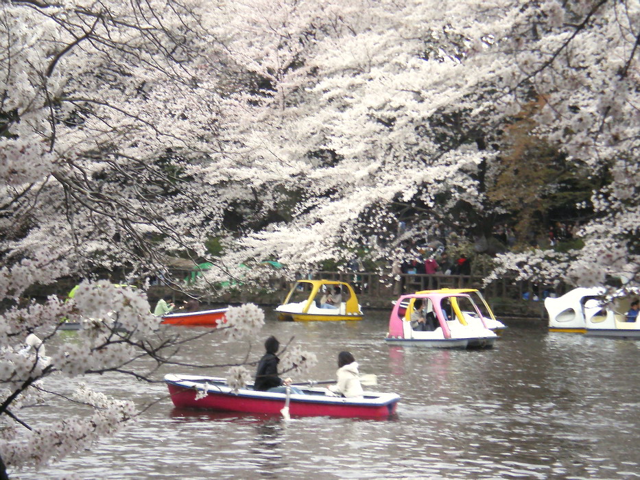 f0079943_131819.jpg