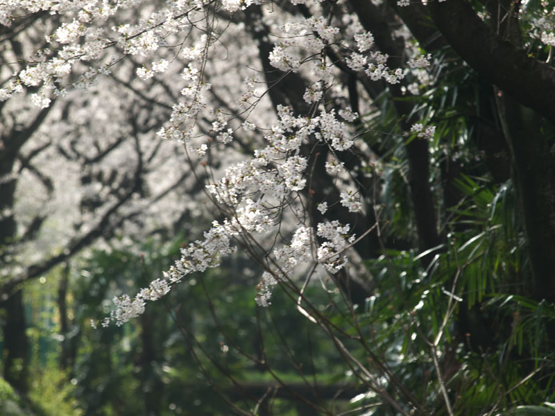 c0068050_23574165.jpg