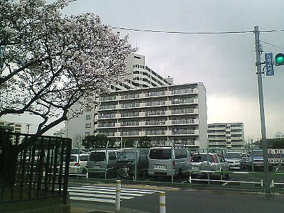 王子の桜風景5葉_b0021251_1432472.jpg