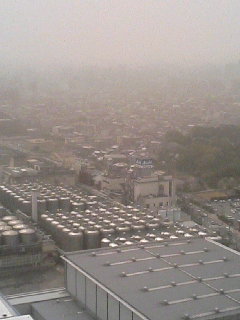 f0096955_18244135.jpg
