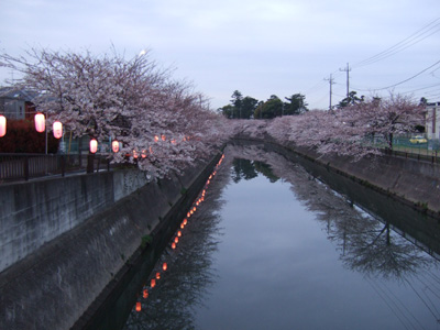 b0045357_4133797.jpg