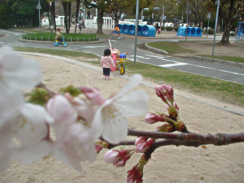 d0017557_00406.jpg