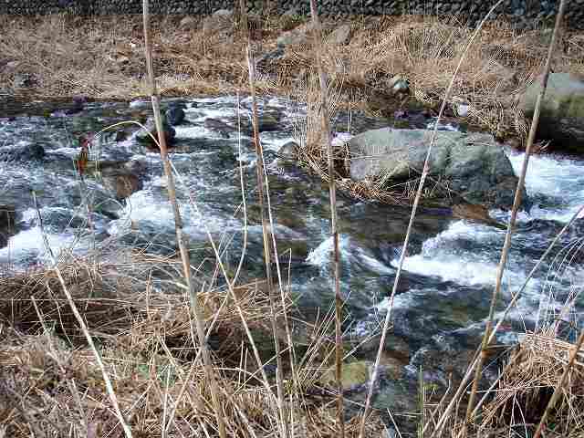 f0073059_13345217.jpg