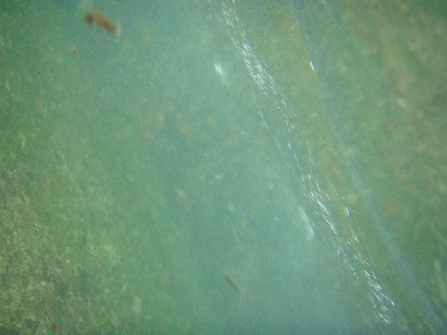 f0073059_13374081.jpg