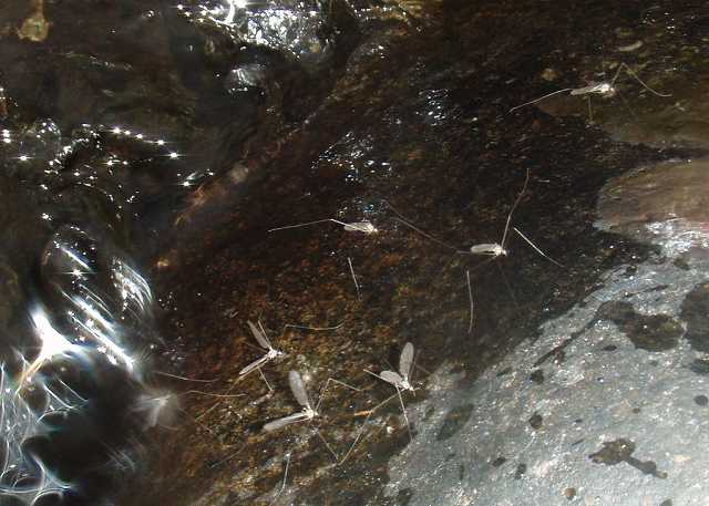 f0073059_14264560.jpg