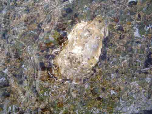 e0009862_21515017.jpg