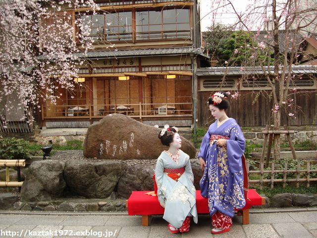京都と桜と舞妓さん♪ : 徒然日誌