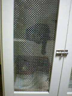b0069471_20103268.jpg