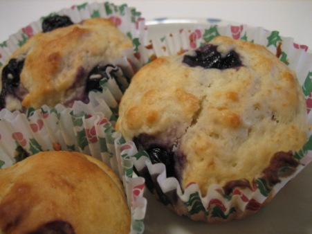 Blueberry Muffin_c0060573_23244957.jpg