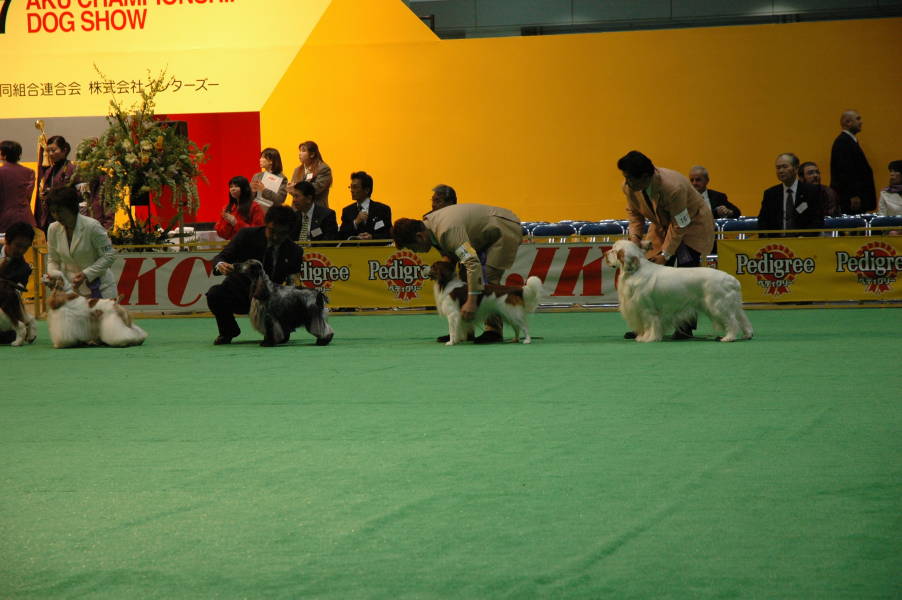 c0075585_13656.jpg
