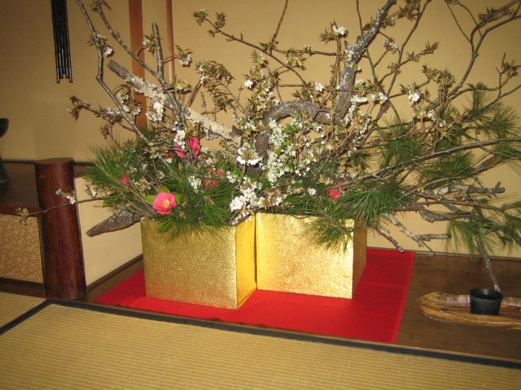 a0088892_1751468.jpg