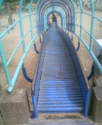 a0097592_23225542.jpg