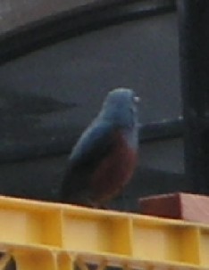 c0108693_2244223.jpg