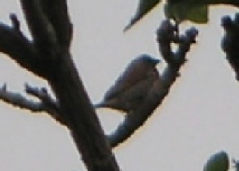 c0108693_2246470.jpg