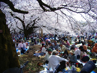 花見じゃなくて「人見」_e0114895_127814.jpg