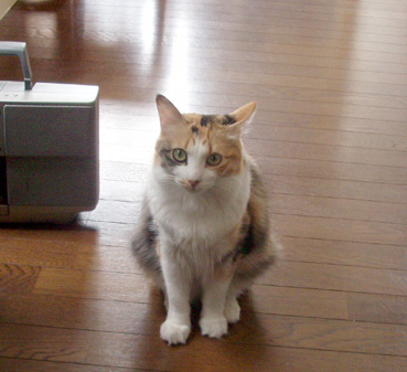 d0071596_1028368.jpg