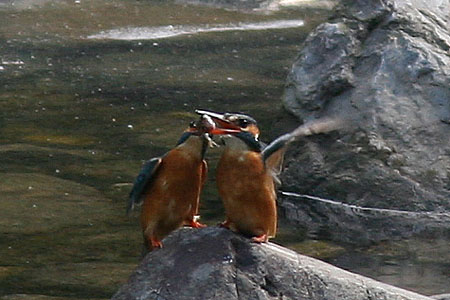 c0058205_23364145.jpg