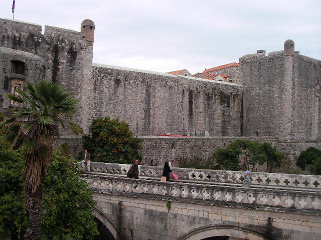 f0038407_0361619.jpg