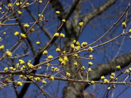 a0048609_7351349.jpg