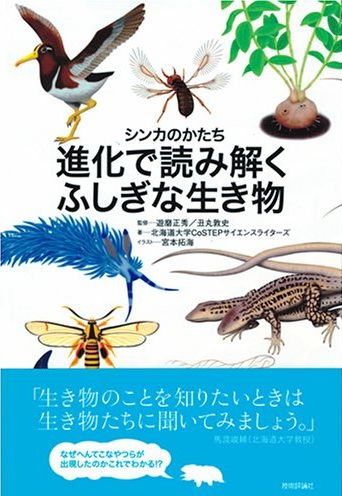 デジャ・ヴ: シンカのかたち_c0025115_2116063.jpg