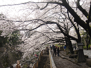 飛鳥山公園_c0025217_20132247.jpg