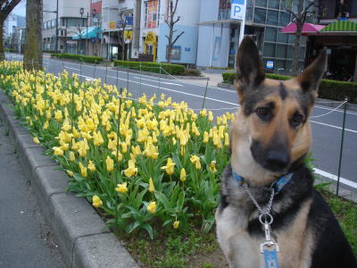 c0090220_9272672.jpg