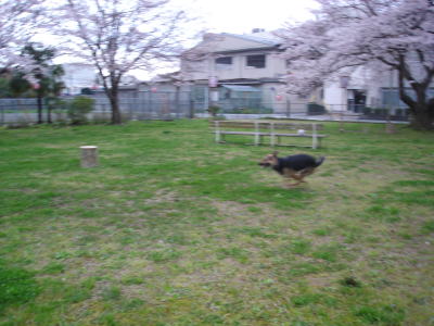 c0090220_9281859.jpg