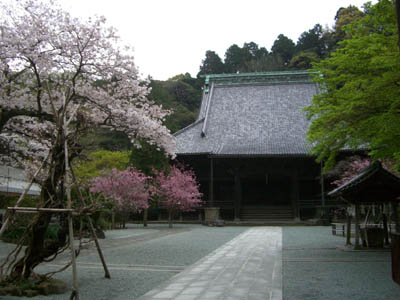 花のころの鎌倉ショップ。_a0026127_7194183.jpg