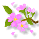 d0059230_0184532.gif