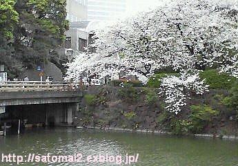 b0106739_10414212.jpg
