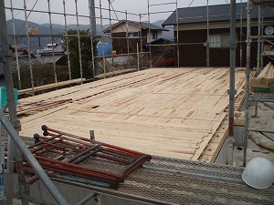b0082242_2025877.jpg
