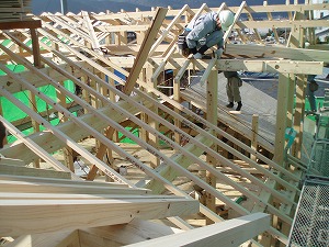 b0082242_20474699.jpg